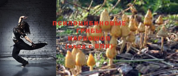 mdma Новодвинск