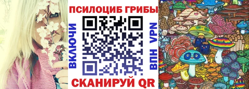 Галлюциногенные грибы мицелий  kraken как зайти  Новосиль 