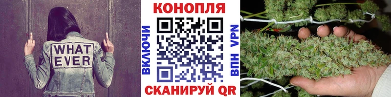 Марихуана семена KRAKEN Новосиль наркошоп